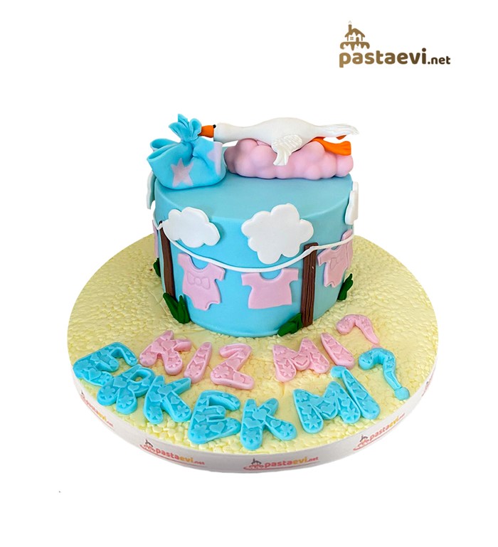 cinsiyet pastası, erkek mi kız mı, anne pastası, baby shower