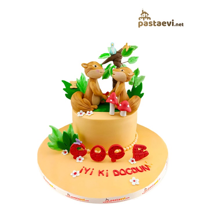 sincap pastası, sincap doğum günü pastası, sincap pasta